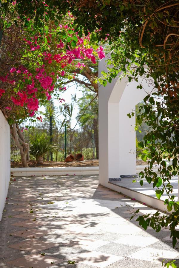 Villas Las Almenas Maspalomas  Exterior photo